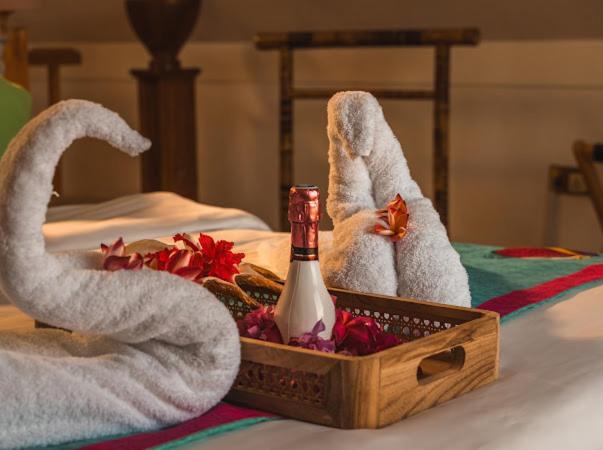 Ocean Bird & Wanita's Self Catering * Pointe Au Sel