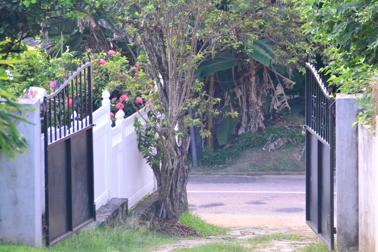Ocean Bird & Wanita's Self Catering