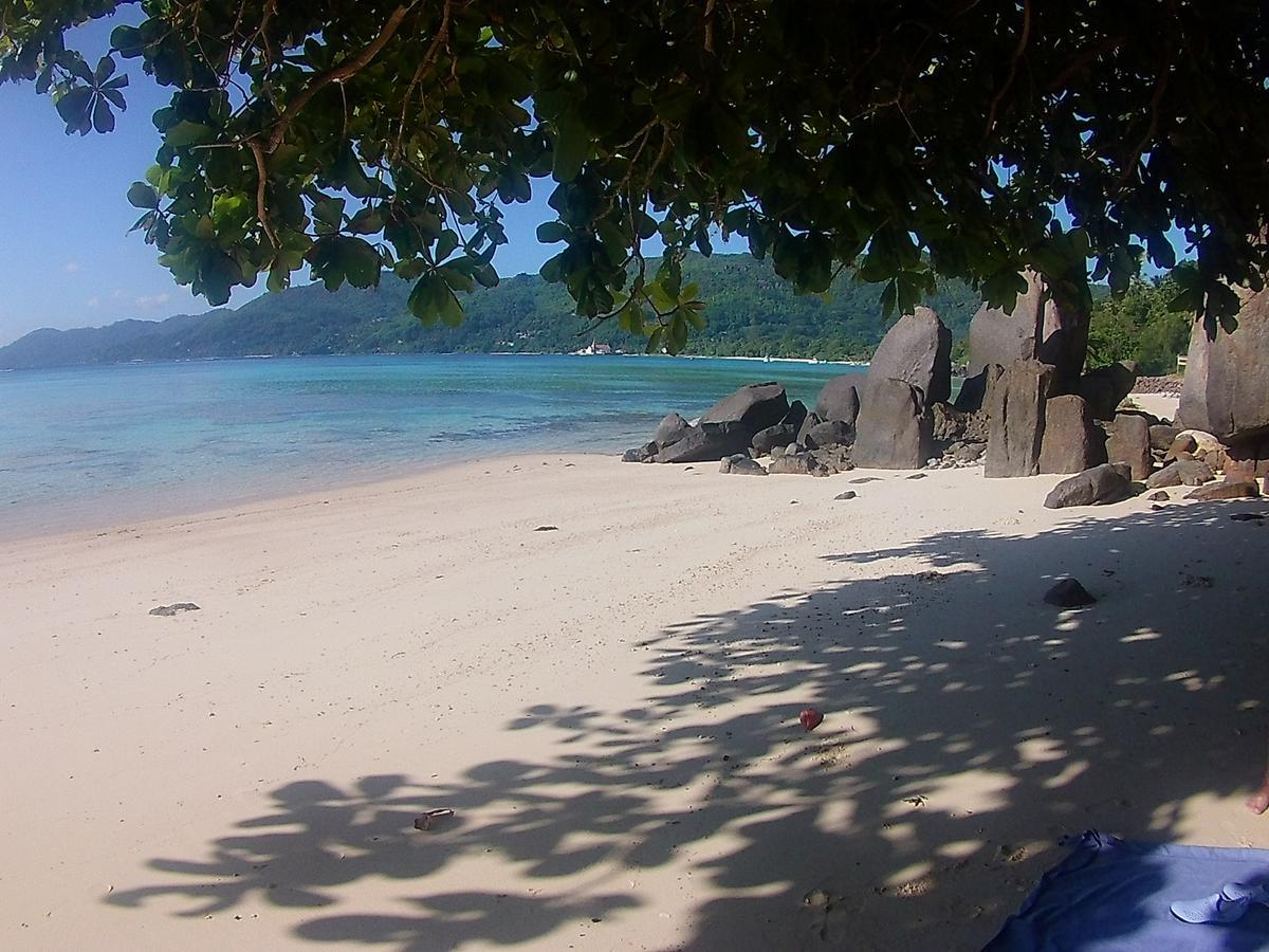 Ocean Bird & Wanita's Self Catering Chalet