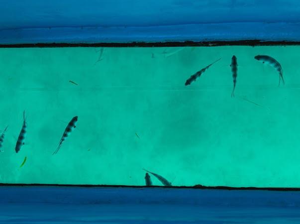 Ocean Bird & Wanita's Self Catering